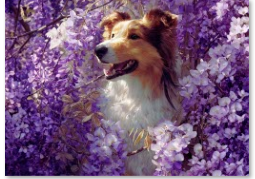 Collie in Wisteria Tempered Glass Cutting Board – 8×11