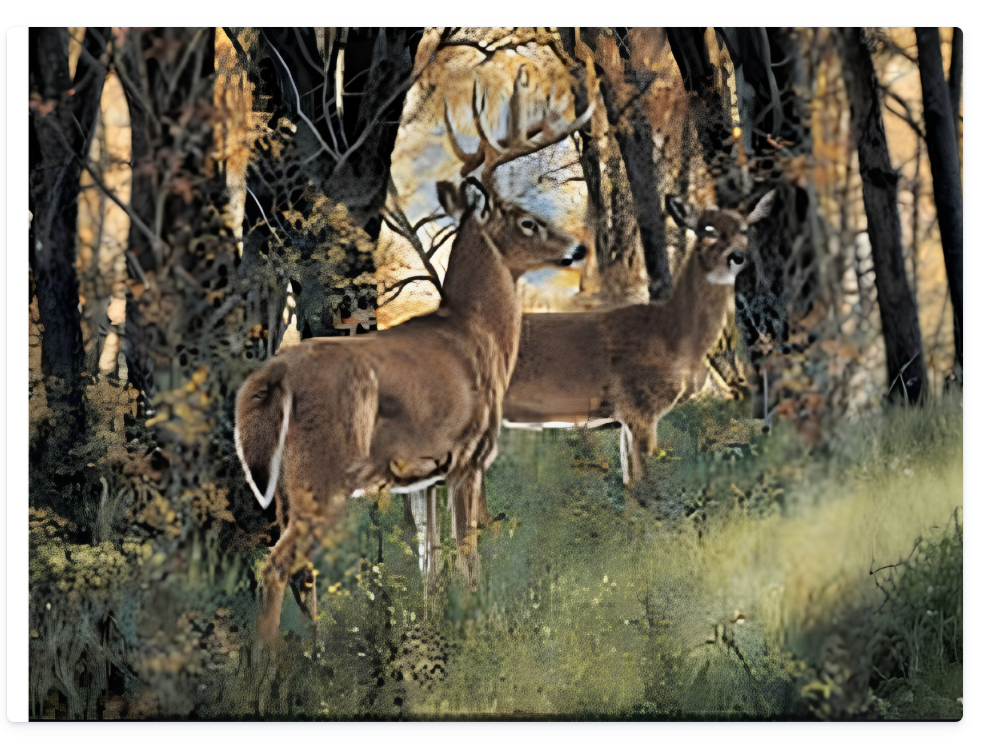 Whitetail Deer Autumn Forest Tempered Glass Cutting Board – 8×11